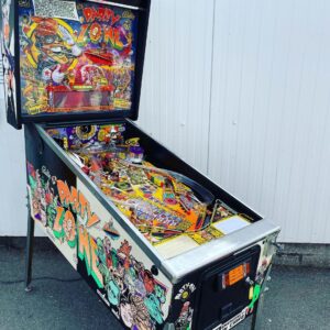 party zone pinball machine